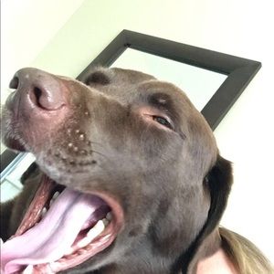 Meet your Posher, Susanna